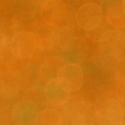 Bokeh-459